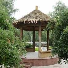 ѧ